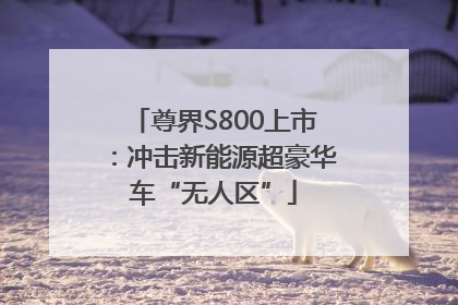 尊界S800上市：冲击新能源超豪华车“无人区”