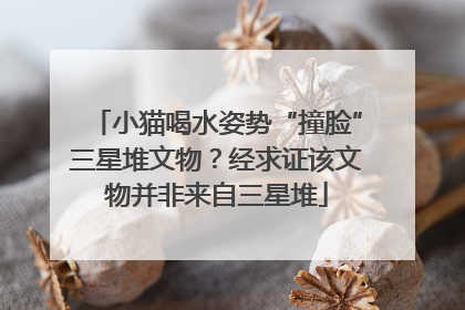 小猫喝水姿势“撞脸”三星堆文物？经求证该文物并非来自三星堆