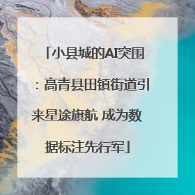小县城的AI突围：高青县田镇街道引来星途旗航 成为数据标注先行军