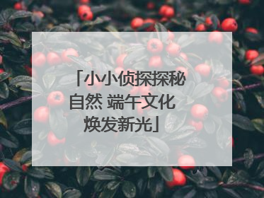 小小侦探探秘自然 端午文化焕发新光