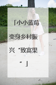小小蓝莓变身乡村振兴“致富果”