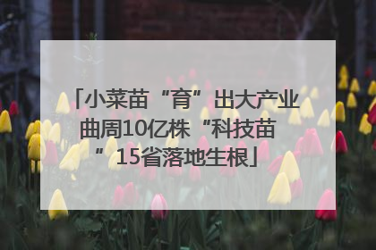 小菜苗“育”出大产业 曲周10亿株“科技苗”15省落地生根