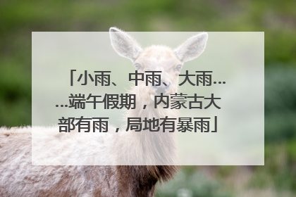 小雨、中雨、大雨……端午假期，内蒙古大部有雨，局地有暴雨