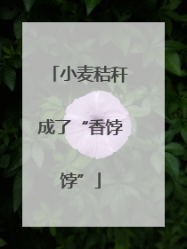 小麦秸秆成了“香饽饽”