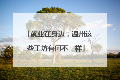 就业在身边，温州这些工坊有何不一样