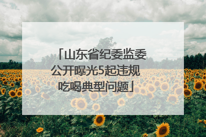 山东省纪委监委公开曝光5起违规吃喝典型问题