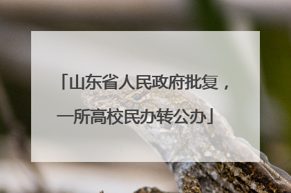 山东省人民政府批复，一所高校民办转公办