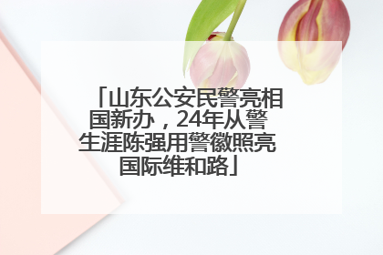 山东公安民警亮相国新办，24年从警生涯陈强用警徽照亮国际维和路