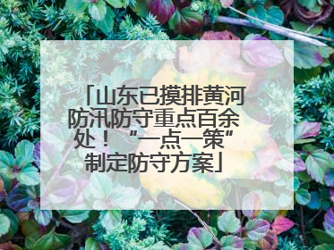 山东已摸排黄河防汛防守重点百余处！“一点一策”制定防守方案
