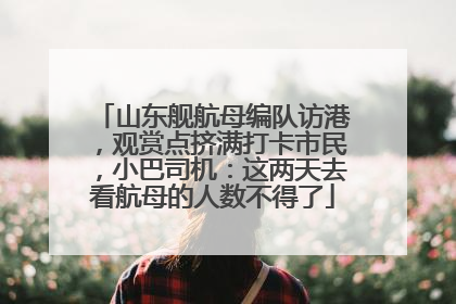 山东舰航母编队访港，观赏点挤满打卡市民，小巴司机：这两天去看航母的人数不得了