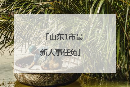 山东1市最新人事任免