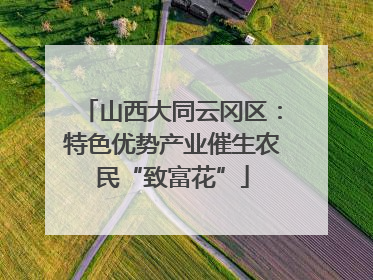 山西大同云冈区：特色优势产业催生农民“致富花”