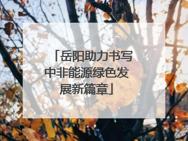 岳阳助力书写中非能源绿色发展新篇章