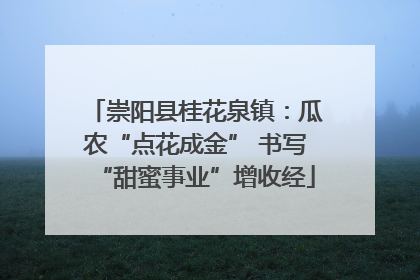 崇阳县桂花泉镇：瓜农“点花成金” 书写“甜蜜事业”增收经