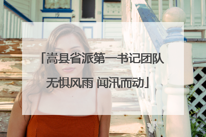 嵩县省派第一书记团队 无惧风雨 闻汛而动