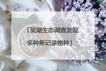 巢湖生态调查发现多种新记录物种