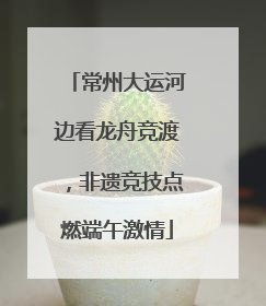 常州大运河边看龙舟竞渡，非遗竞技点燃端午激情