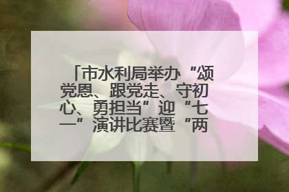 市水利局举办“颂党恩、跟党走、守初心、勇担当”迎“七一”演讲比赛暨“两优一先”表彰活动