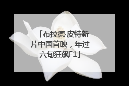 布拉德·皮特新片中国首映，年过六旬狂飙F1
