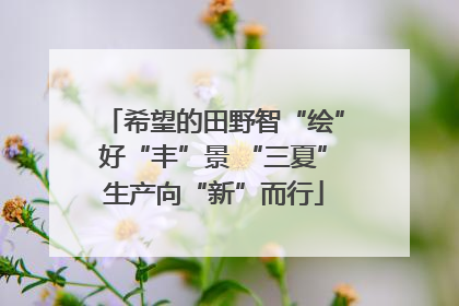 希望的田野智“绘”好“丰”景 “三夏”生产向“新”而行