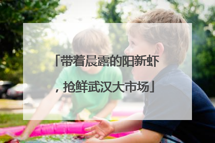 带着晨露的阳新虾，抢鲜武汉大市场