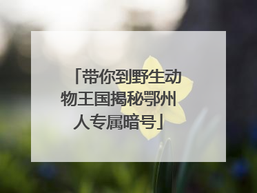 带你到野生动物王国揭秘鄂州人专属暗号