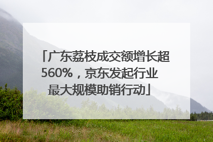 广东荔枝成交额增长超560%，京东发起行业最大规模助销行动