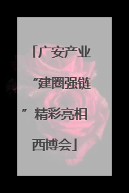 广安产业“建圈强链”精彩亮相西博会