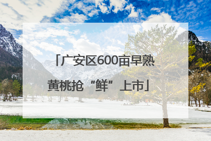 广安区600亩早熟黄桃抢“鲜”上市