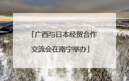 广西与日本经贸合作交流会在南宁举办