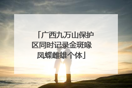 广西九万山保护区同时记录金斑喙凤蝶雌雄个体