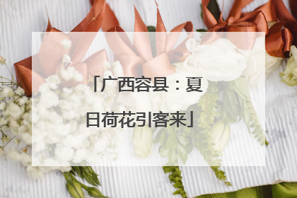 广西容县：夏日荷花引客来
