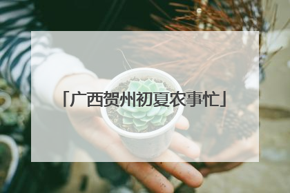 广西贺州初夏农事忙