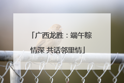 广西龙胜：端午粽情深 共话邻里情