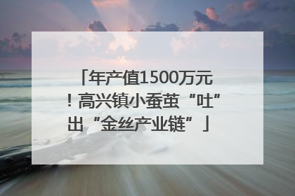 年产值1500万元！高兴镇小蚕茧“吐”出“金丝产业链”