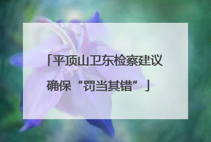 平顶山卫东检察建议确保“罚当其错”