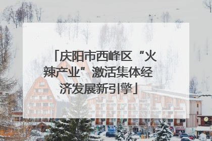 庆阳市西峰区“火辣产业”激活集体经济发展新引擎