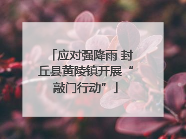 应对强降雨 封丘县黄陵镇开展“敲门行动”