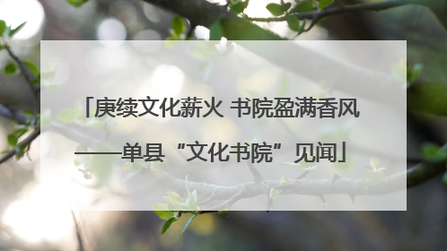 庚续文化薪火 书院盈满香风——单县“文化书院”见闻