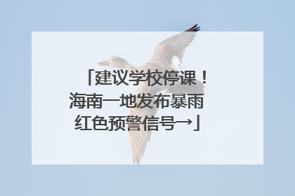 建议学校停课！海南一地发布暴雨红色预警信号→