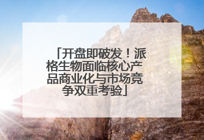 开盘即破发！派格生物面临核心产品商业化与市场竞争双重考验
