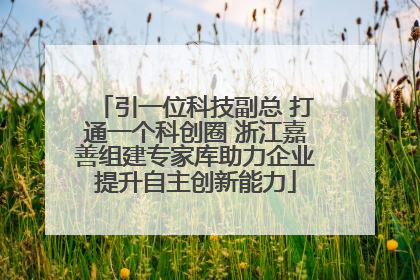 引一位科技副总 打通一个科创圈 浙江嘉善组建专家库助力企业提升自主创新能力
