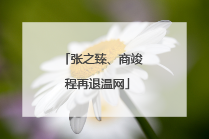 张之臻、商竣程再退温网