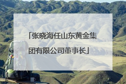 张晓海任山东黄金集团有限公司董事长