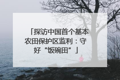 探访中国首个基本农田保护区监利：守好“饭碗田”