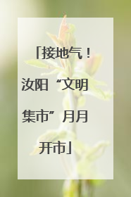 接地气！汝阳“文明集市”月月开市