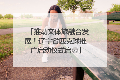 推动文体旅融合发展！辽宁省匹克球推广启动仪式启幕