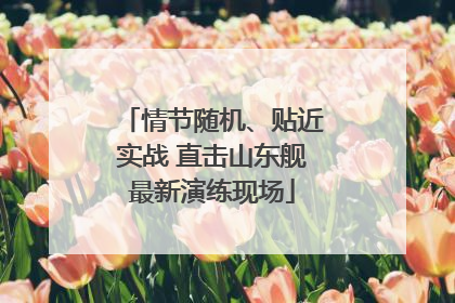 情节随机、贴近实战 直击山东舰最新演练现场