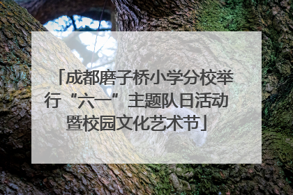 成都磨子桥小学分校举行“六一”主题队日活动暨校园文化艺术节