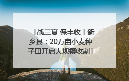 战三夏 保丰收丨新乡县：20万亩小麦种子田开启大规模收割